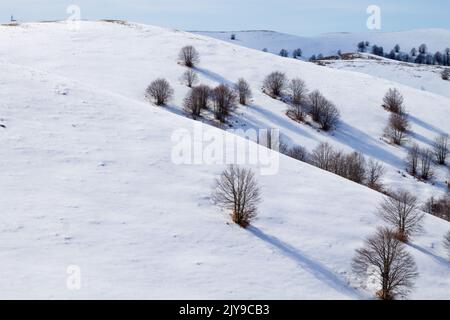 Winterlandschaft mit Schnee von den Alpen. Mount Cesen Winteransicht Stockfoto