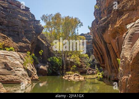 Cobbold Gorge Stockfoto