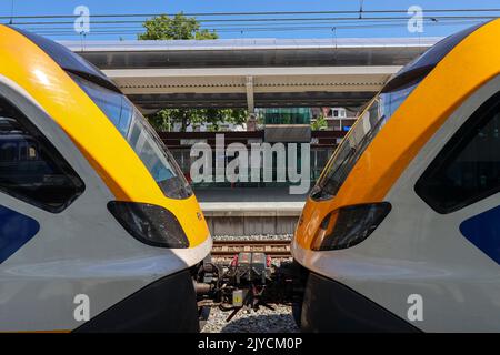 CAF Civity SNG Local Pendler Sprinter Zug am Bahnhof von Zwolle in den Niederlanden Stockfoto