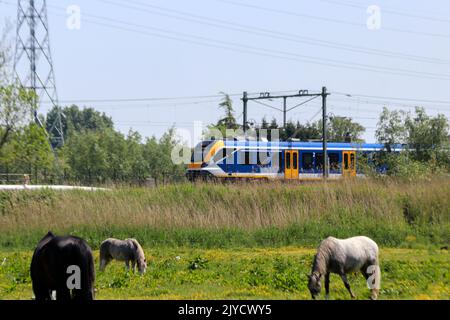 SNG Sprinter Nahverkehrszug entlang der Eisenbahnbrücke bei Kethel in schiedam in den Niederlanden Stockfoto