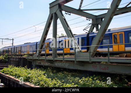 SNG Sprinter Nahverkehrszug entlang der Eisenbahnbrücke bei Kethel in schiedam in den Niederlanden Stockfoto