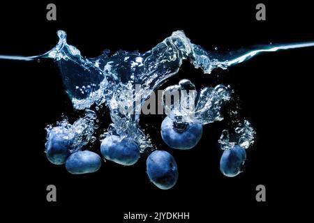 Ein Haufen frischer Blaubeeren fiel ins Wasser mit Luftblasen und Spritzern isoliert auf schwarzem Hintergrund. Stockfoto