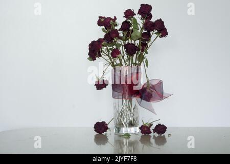 Eine aufrechte Glasvase mit einem Haufen toter kleiner roter Rosen. Ein transparenter roter Schal um die Vase. Vor weißem Hintergrund Stockfoto