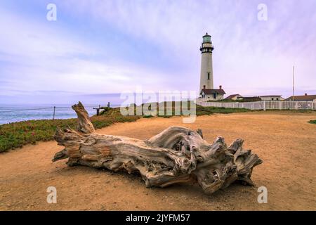 Wolkiger Sonnenuntergang am Pigeon Point Lighthouse an der nordkalifornischen Pazifikküste nahe Pescadero mit einem großen Baumstamm im Vordergrund Stockfoto