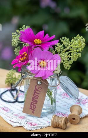 Kleines Bouquet von rosa Kosmosblumen und Zinnien im Glas Stockfoto