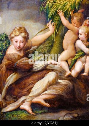 Märtyrerin mit Engeln (Heilige Katharina von Alexandria?), Ölgemälde auf Pappelholz von Girolamo Francesco Maria Mazzola mit dem Namen Parmigianino, 1523-1524 Stockfoto