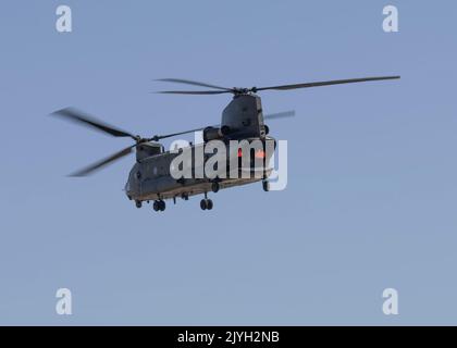 Ein RAF Chinook Hubschrauber aus Odiham zeigt sich beim Royal International Air Tattoo 2022 Stockfoto