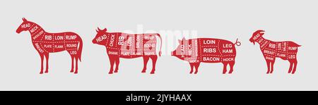 Satz von Nutztieren Diagramm Schnitte. Poster mit Metzgerschemata. Schwein, Pferd, Ziege, Kuh Aufschnitt. Abbildung des Fleisch-Diagramms. Silhouette von Nutztieren Stock Vektor