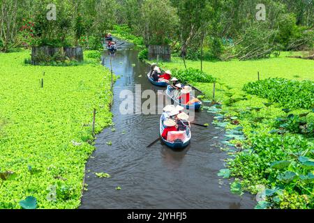 Der Fährmann nimmt Reisende mit auf eine Bootstour entlang der Kanäle im Mangrovenwald. Dies ist ein Ökotourismus-Gebiet am Mekong Delta in an Giang, Vietnam Stockfoto