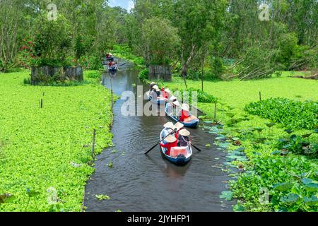 Der Fährmann nimmt Reisende mit auf eine Bootstour entlang der Kanäle im Mangrovenwald. Dies ist ein Ökotourismus-Gebiet am Mekong Delta in an Giang, Vietnam Stockfoto
