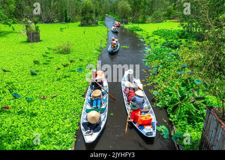 Der Fährmann nimmt Reisende mit auf eine Bootstour entlang der Kanäle im Mangrovenwald. Dies ist ein Ökotourismus-Gebiet am Mekong Delta in an Giang, Vietnam Stockfoto
