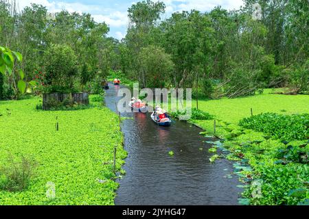 Der Fährmann nimmt Reisende mit auf eine Bootstour entlang der Kanäle im Mangrovenwald. Dies ist ein Ökotourismus-Gebiet am Mekong Delta in an Giang, Vietnam Stockfoto