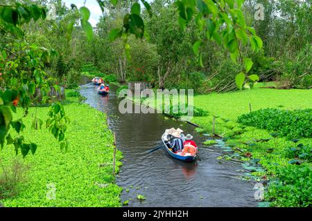 Der Fährmann nimmt Reisende mit auf eine Bootstour entlang der Kanäle im Mangrovenwald. Dies ist ein Ökotourismus-Gebiet am Mekong Delta in an Giang, Vietnam Stockfoto
