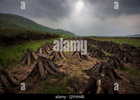 Auf einem irischen Moor in der Grafschaft Sligo. Stockfoto