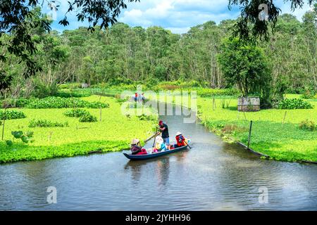 Der Fährmann nimmt Reisende mit auf eine Bootstour entlang der Kanäle im Mangrovenwald. Dies ist ein Ökotourismus-Gebiet am Mekong Delta in an Giang, Vietnam Stockfoto