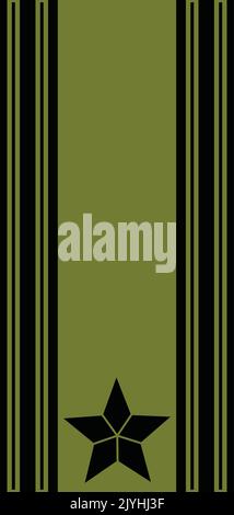 Schulterpolster NATO-Offizier-Zeichen für den RANG DER WICHTIGSTEN Insignien in der norwegischen Armee Stock Vektor