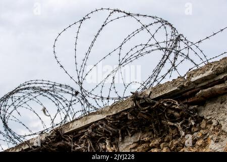 Monza, Italien. 08. September 2022. Atmosphäre des Stromkreises - Stacheldraht. Großer Preis von Italien, Donnerstag, 8.. September 2022. Monza Italien. Quelle: James Moy/Alamy Live News Stockfoto