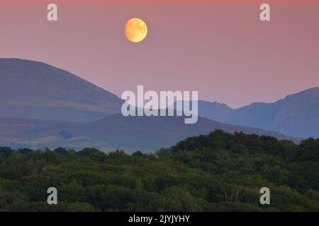 Der Mond steigt über den Bergen von Snowdonia aus Anglesey, Nordwales, Großbritannien. Stockfoto