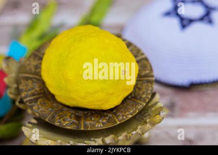 In der jüdischen Tradition hat das Laubhüttenfest ein Etrog-Ritual mit Zitrusfrüchten, das den jüdischen Feiertag von Sukkot symbolisiert Stockfoto