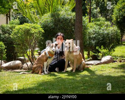 Peruanische Frau, die auf dem Gras sitzt und zwei Mongrel-Hunde in einem sonnigen Garten umarmt Stockfoto