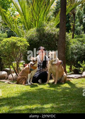 Peruanische Frau, die auf dem Gras sitzt und zwei Mongrel-Hunde in einem sonnigen Garten umarmt Stockfoto