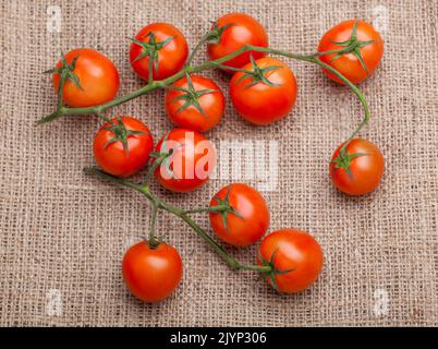 Zweig der frischen Tomaten auf dem Absacken Stockfoto