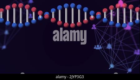 Abbildung eines rotierenden 3D-dna-Strangs mit einem Netzwerk verbundener Symbole auf Schwarz Stockfoto