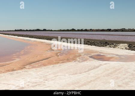 Roséfarbene Salzlagunen in der Nähe von Aigues Mortes in der Camargue im Südwesten Frankreichs Stockfoto