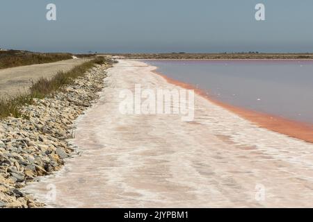 Roséfarbene Salzlagunen in der Nähe von Aigues Mortes in der Camargue im Südwesten Frankreichs Stockfoto