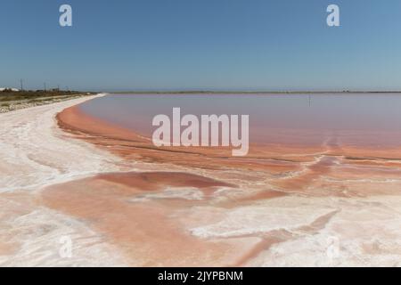 Roséfarbene Salzlagunen in der Nähe von Aigues Mortes in der Camargue im Südwesten Frankreichs Stockfoto