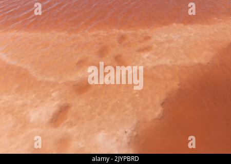 Roséfarbene Salzlagunen in der Nähe von Aigues Mortes in der Camargue im Südwesten Frankreichs Stockfoto