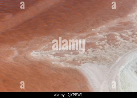 Roséfarbene Salzlagunen in der Nähe von Aigues Mortes in der Camargue im Südwesten Frankreichs Stockfoto