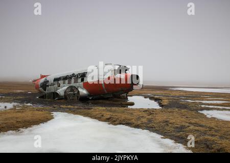 Stürzte DC3 Flugzeugwrack in Porshofn Nordisland ab Stockfoto