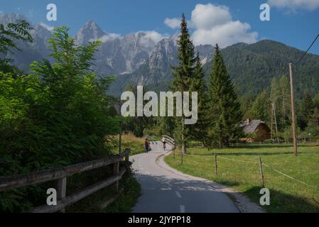 Ein gepflasterter Pfad führt durch die malerische Kranjska Gora im Triglav Nationalpark, Slowenien, mit Radfahrern, Kiefern und dramatischen felsigen Bergen. Stockfoto