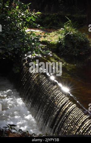 Wehr, Canal Walk, Kilkenny, Irland Stockfoto