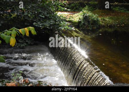 Wehr, Canal Walk, Kilkenny, Irland Stockfoto