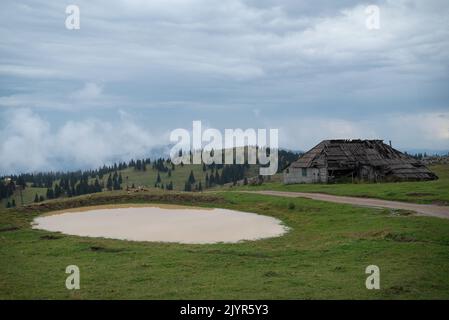 Eine Pfütze schlammigen Wassers in Velika Planina, einer verstreuten Hochsiedlung von meist Hirtenwohnungen auf dem Karstweiden-Plateau im Stockfoto