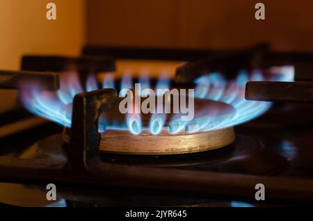 Closeup Schuß von Blue Fire aus heimischer Küche Herd. Gasherd mit brennenden Flammen von Propangas. Industrie und Wirtschaft Konzept. Stockfoto