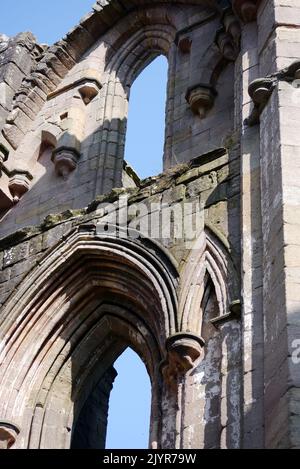 Die Überreste von Steinbögen Torweg & Fenster in den Ruinen von Fountains Abbey Zisterzienserkloster, North Yorkshire, England, Großbritannien. Stockfoto