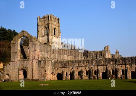 Die Ruinen der Kapelle, des Glockenturms und des Cellariums in Fountains Abbey und Studley Royal Water Garden, North Yorkshire, England, Großbritannien. Stockfoto