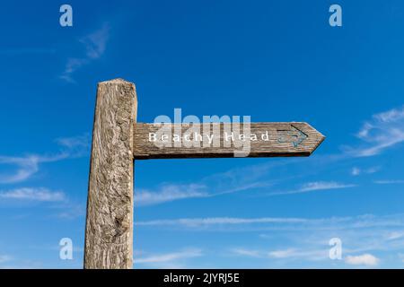 Beachy Head, South Downs, East Sussex, Großbritannien Stockfoto