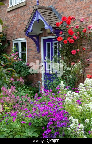 Ein wunderschöner Garten mit Rosen, die die Mauer in Bishops Castle, England, hinaufklettern. Stockfoto