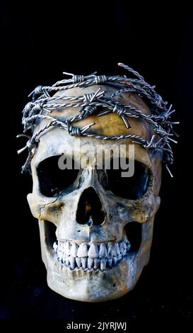 Replik menschlicher Schädel mit Stacheldraht Krone, moderne Dornenkrone. Stockfoto
