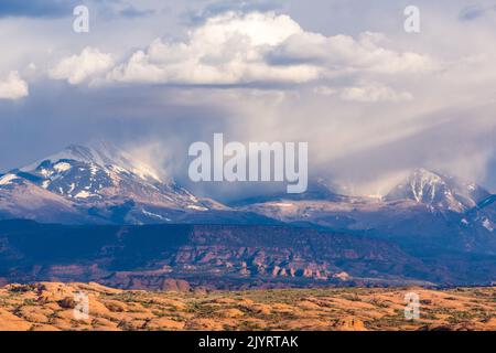 Die versteinerten Dünen im Arches National Park mit einem Schneesturm auf den La Sal Bergen dahinter. Moab, Utah. Stockfoto