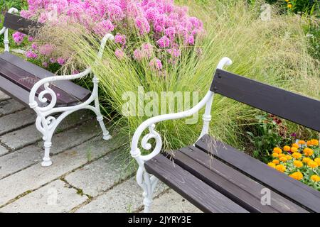 Relax Platz Garten Rosa Blumen, Garten Phlox, zwei Bänke im Garten, friedlich, Platz krautigen Grenze Sitz Stockfoto