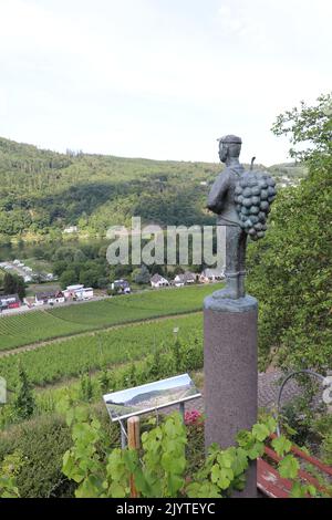 Statue eines Mannes mit einem großen Trauben auf dem Rücken mit Blick auf einen Panoramablick auf das Moseltal mit Weinbergen an den Hängen Stockfoto