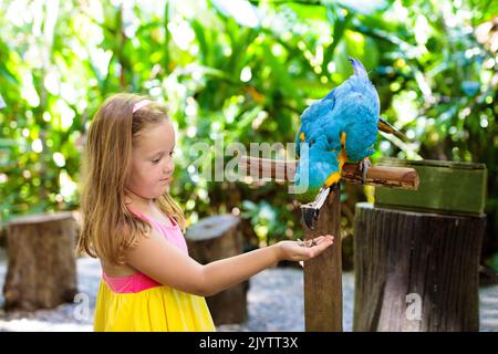 Kind füttert Ara Papagei im tropischen Zoo. Kind spielt mit dem großen Regenwaldvögel. Kinder und Haustiere. Kinder spielen und füttern Wildtiere im Safaripark Stockfoto