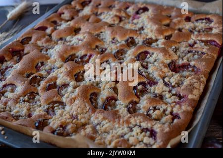 Obstkuchen auf einem Backblech frisch und hausgemacht gebacken mit Pflaumen. Nahaufnahme mit verschwommenem Hintergrund Stockfoto