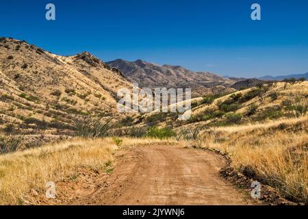 Patagonia Mountains, Fernsicht von der Salero Canyon Road (Forest Road 143), Santa Rita Mountains, Coronado National Forest, Arizona, USA Stockfoto