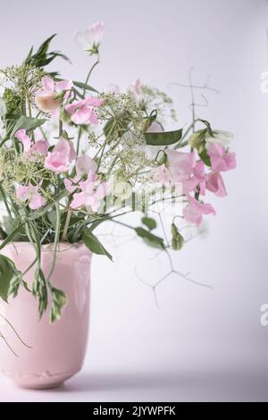 Zartrosa Erbsenblume in einer rosa Vase Stockfoto